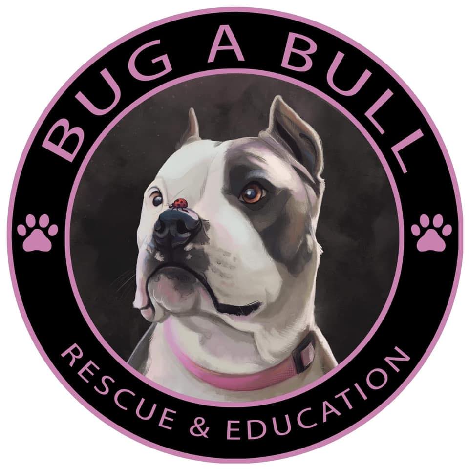 Bug A Bull Rescue